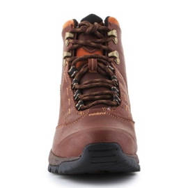 Ariat Berwick Gtx W 10016298 schoenen bruin 2