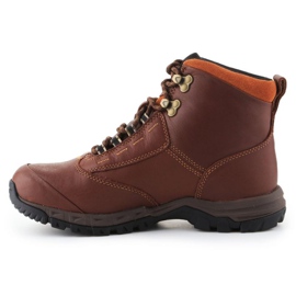 Ariat Berwick Gtx W 10016298 schoenen bruin 4